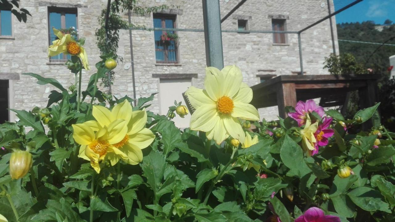 ホテル Casale Le Fontanelle Monte Grimano Terme エクステリア 写真