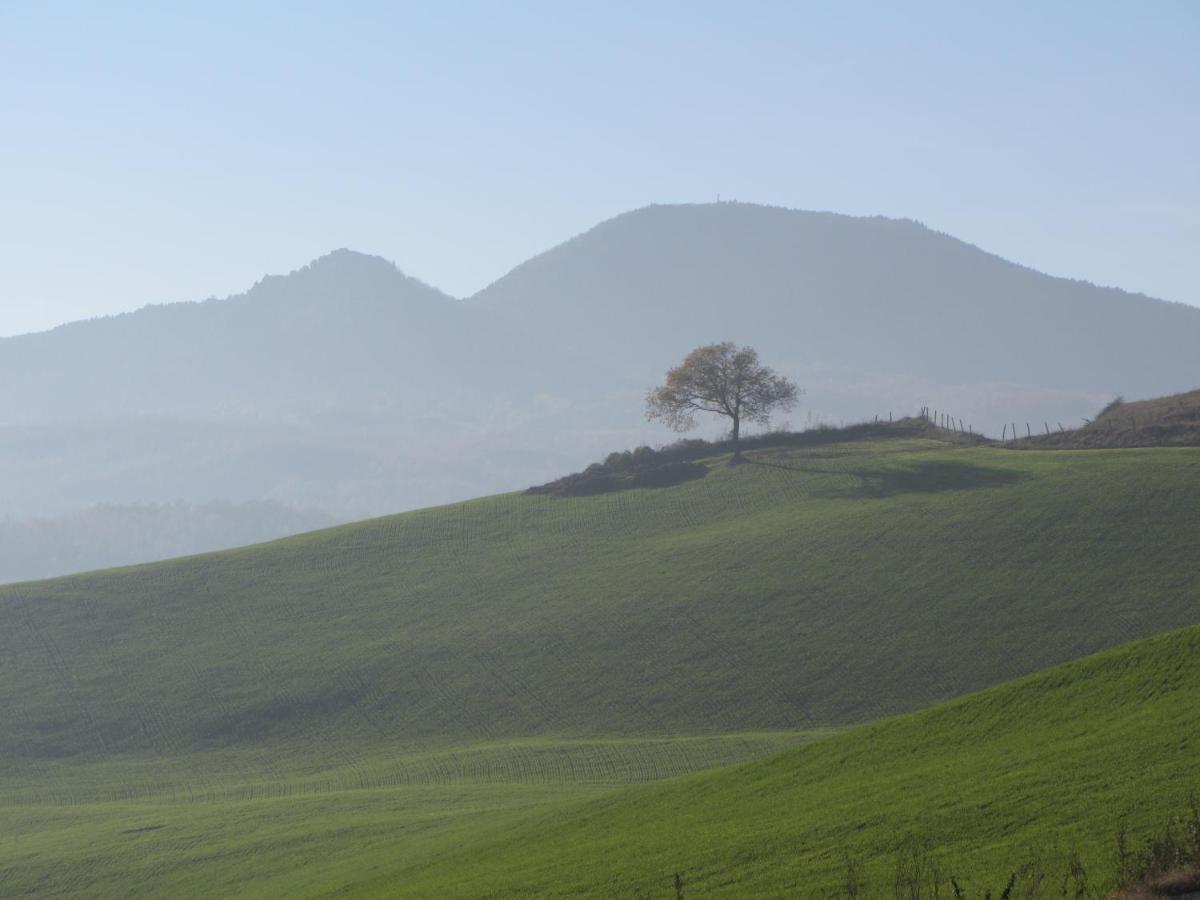 ホテル Casale Le Fontanelle Monte Grimano Terme エクステリア 写真