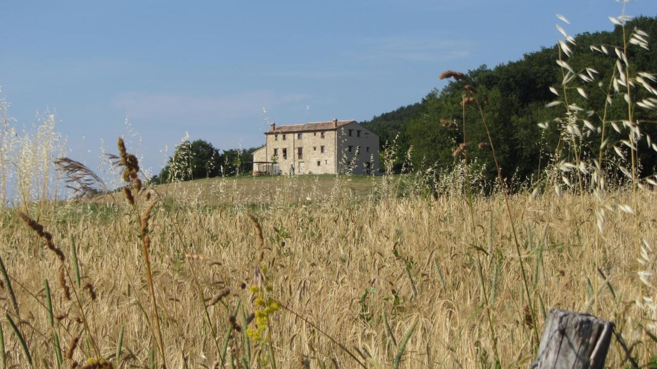 ホテル Casale Le Fontanelle Monte Grimano Terme エクステリア 写真