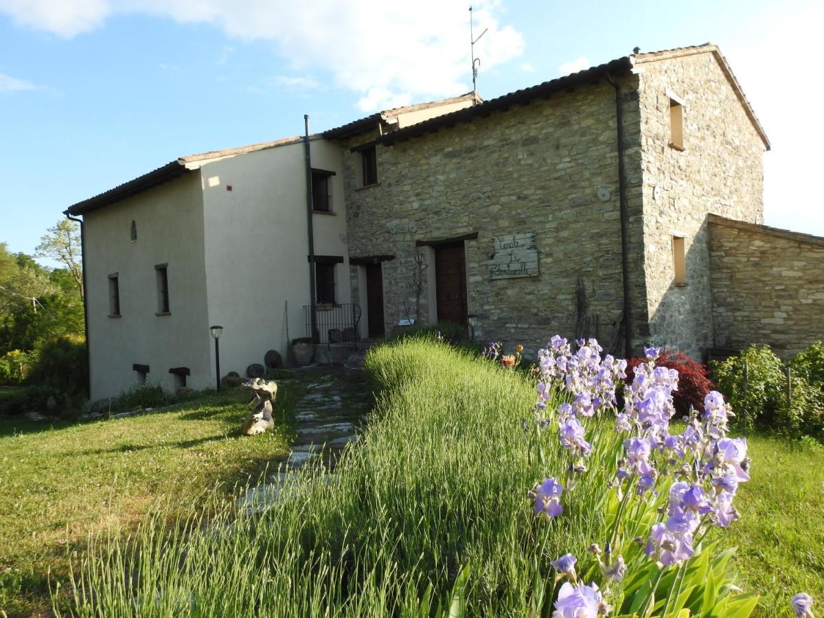 ホテル Casale Le Fontanelle Monte Grimano Terme エクステリア 写真
